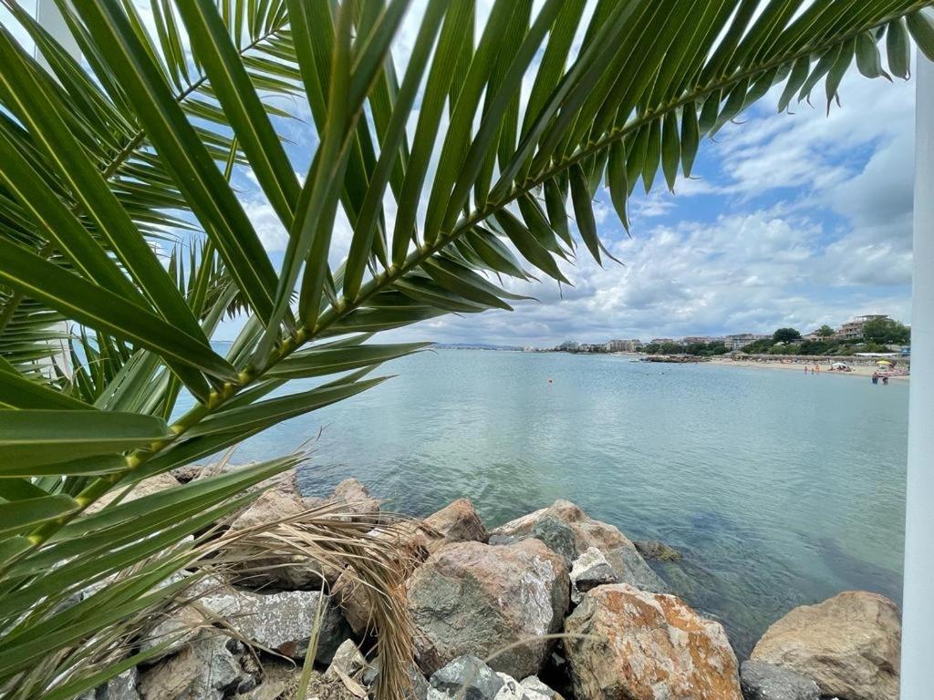 Apartment Sunny Beach Plaza 100 M Sea المظهر الخارجي الصورة